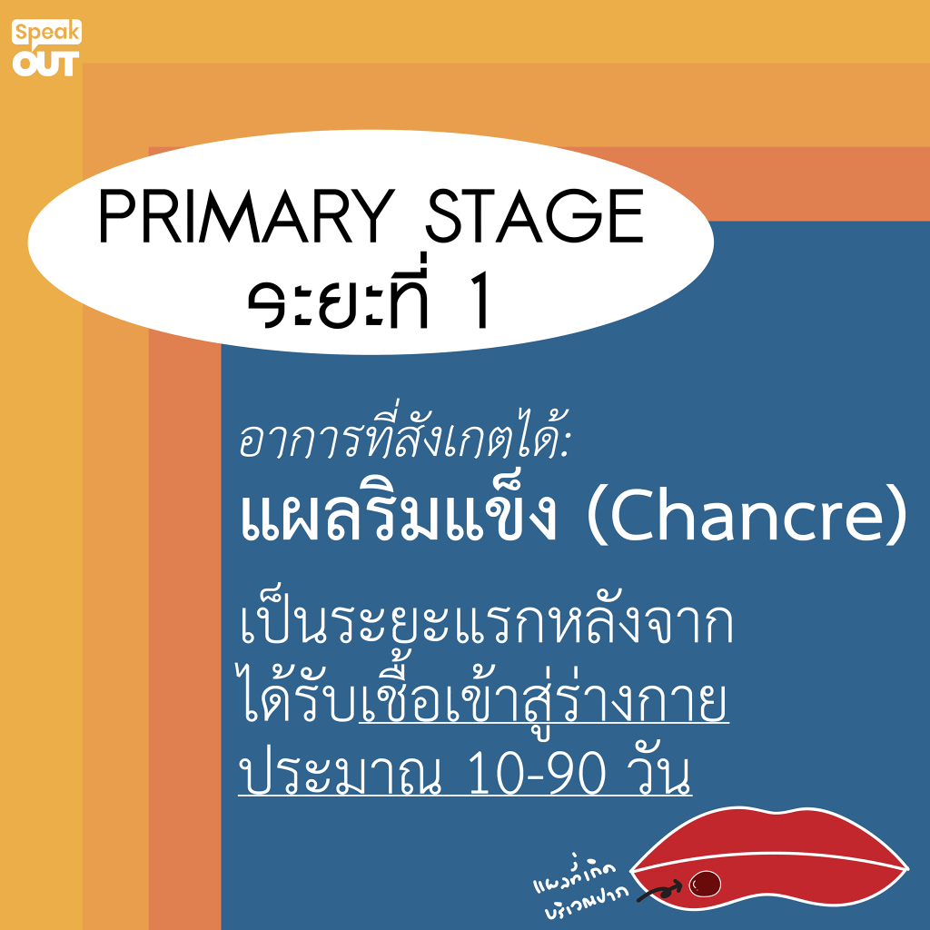Primary Stage