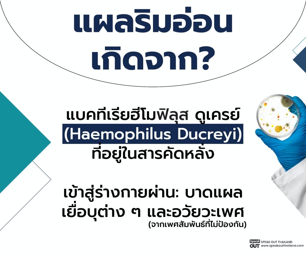 แผลริมอ่อนเกิดจาก